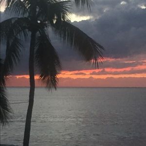 Meet your Posher, Krista